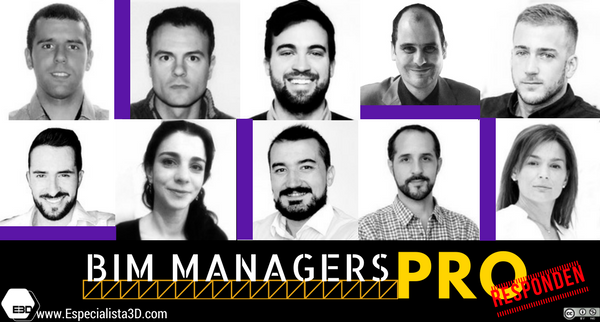 BIM_Managers_pro