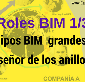 RolesBIM_EquiposGrandes