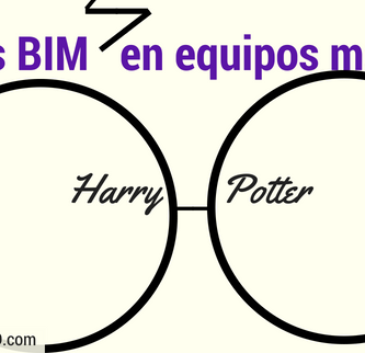 Roles_BIM_en_equipos_medianos_Harry_Potter_Especialista3D